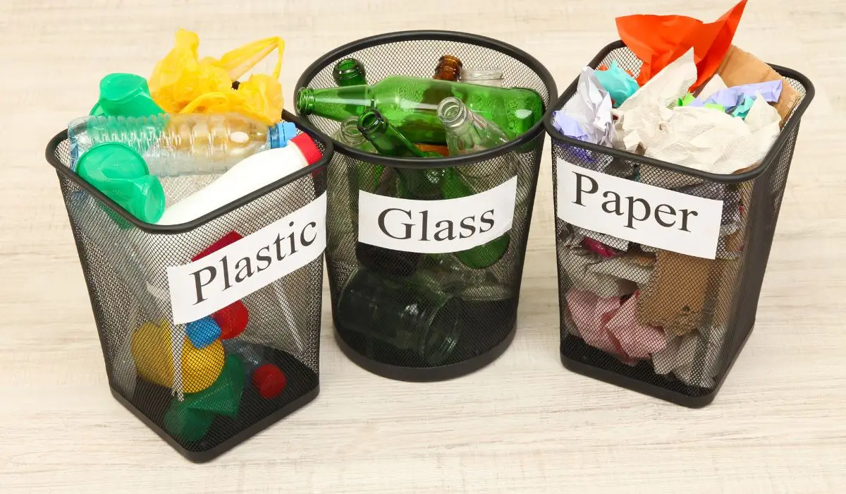 7 Effective Ways to Recycle at Home A 2026 Guide for Seattle Residents