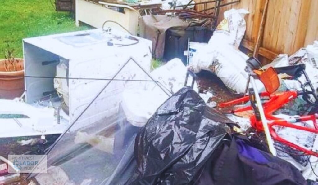 Professional Guide to Efficient Household Waste Management in Seattle, WA