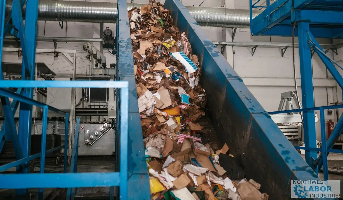 The Hidden Reality of 2026 Recycling Statistics in Seattle, WA Is Seattle Truly Meeting Its Zero-Waste Goals