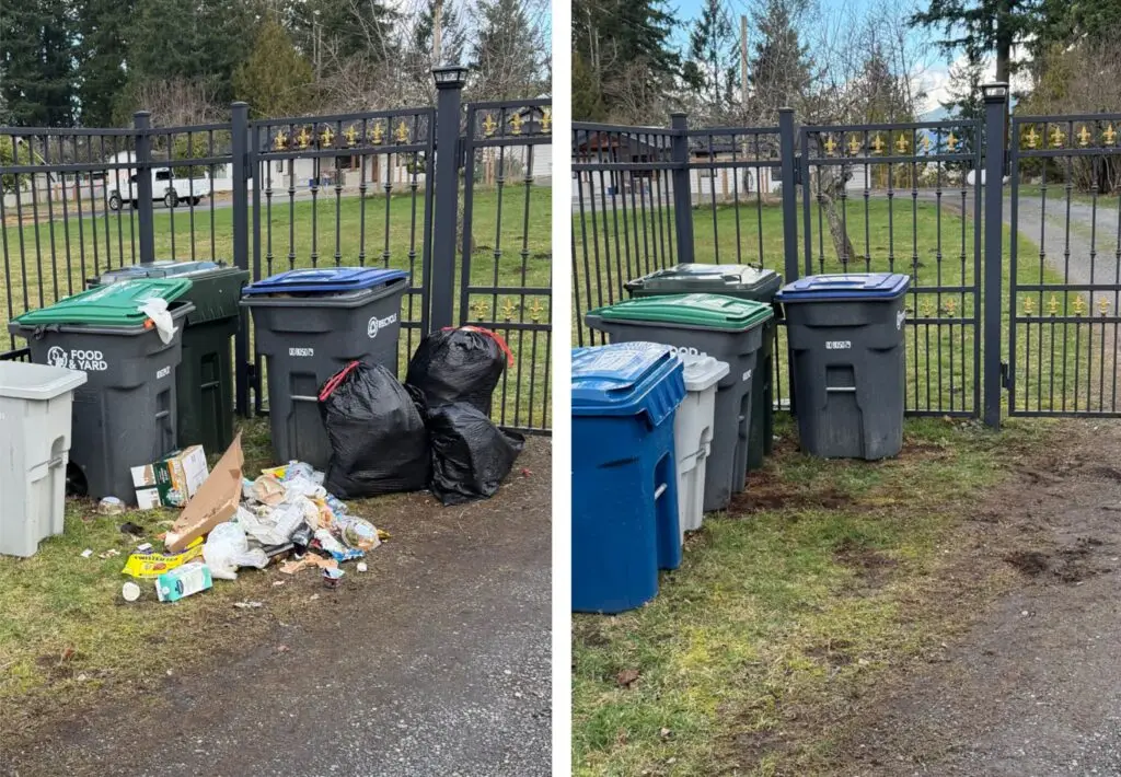 before and after cleaning a pile of trash