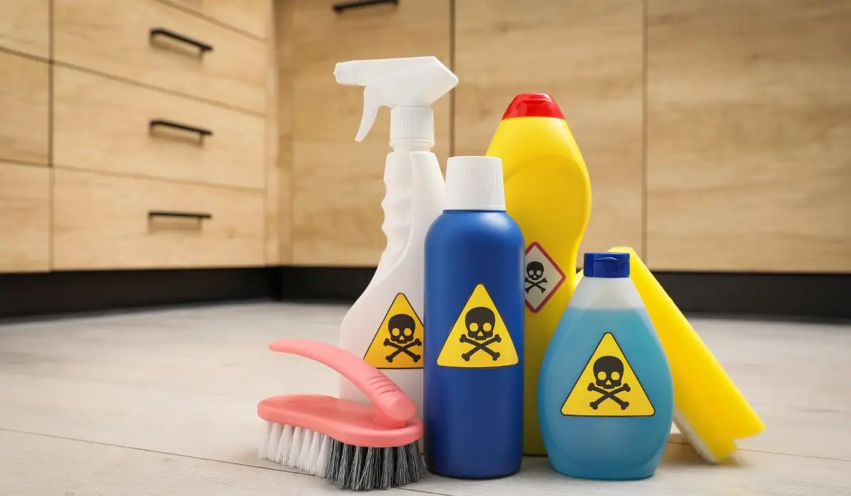 The 2026 Guide to Household Hazardous Waste Disposal in Seattle, WA