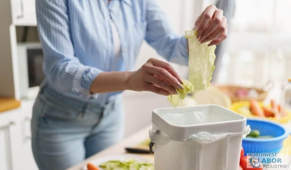 Garbage Disposals and High-Tech Alternatives