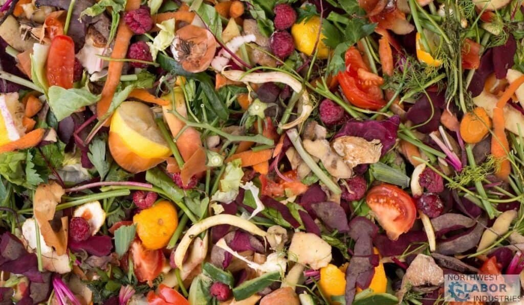 Balancing Your Compost Pile